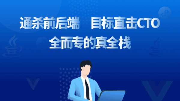 Java全栈工程师：从Java后端到全栈，高级电商全栈系统大课