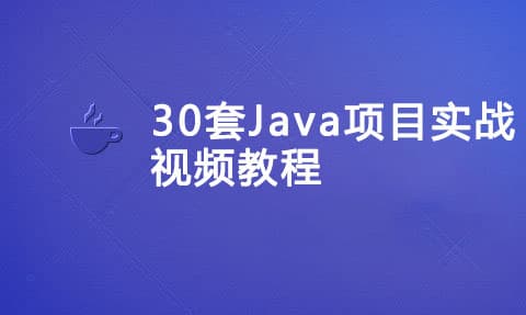 30套Java项目实战视频教程