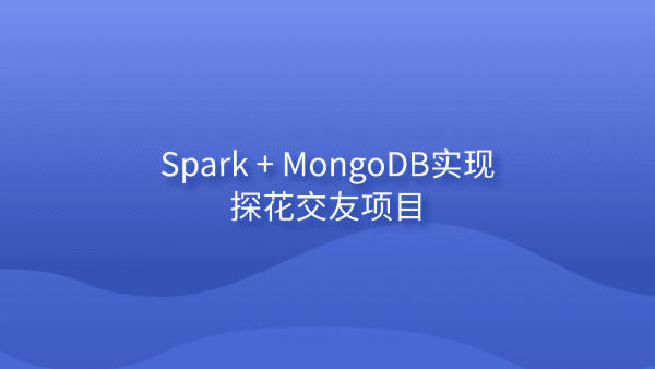 Spark + MongoDB实现探花交友项目