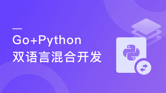 体系课-Go+Python双语言混合开发 盯紧技术先机 抓紧高薪机遇