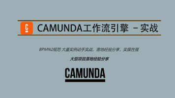 Camunda高级实战培训系列教程