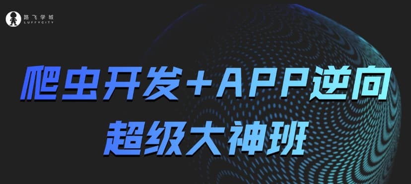路飞学城 爬虫开发+APP逆向超级大神班11期